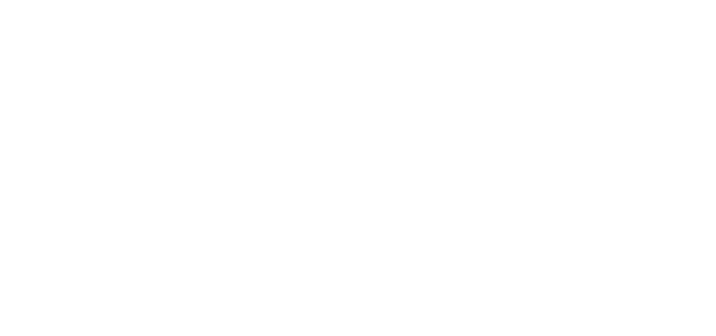 Logo Triton